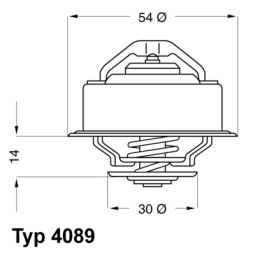 Termostaatti tiivisteellä B19,B200,B21,B23,B230