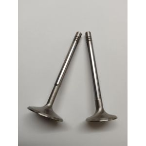 Pakoventtiili Golf Race 34x7x108